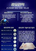 2025학년도 학교자율과정(2,3학년)